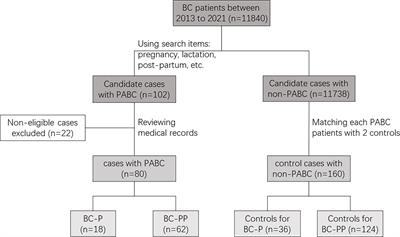 Clinicopathologic features, treatment, and prognosis of pregnancy-associated breast cancer